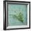 Classic Herbs Thyme-Cora Niele-Framed Photographic Print