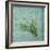 Classic Herbs Thyme-Cora Niele-Framed Photographic Print