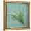 Classic Herbs Thyme-Cora Niele-Framed Stretched Canvas