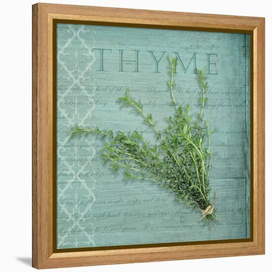 Classic Herbs Thyme-Cora Niele-Framed Stretched Canvas