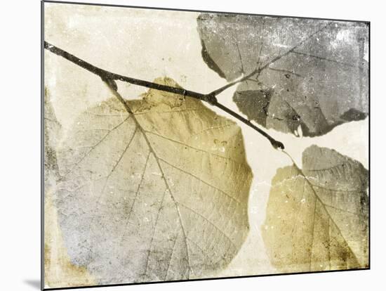 Classic Leaves-Jace Grey-Mounted Art Print