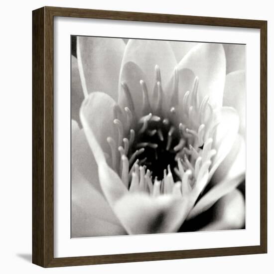 Classic Lotus Square-Erin Berzel-Framed Photographic Print