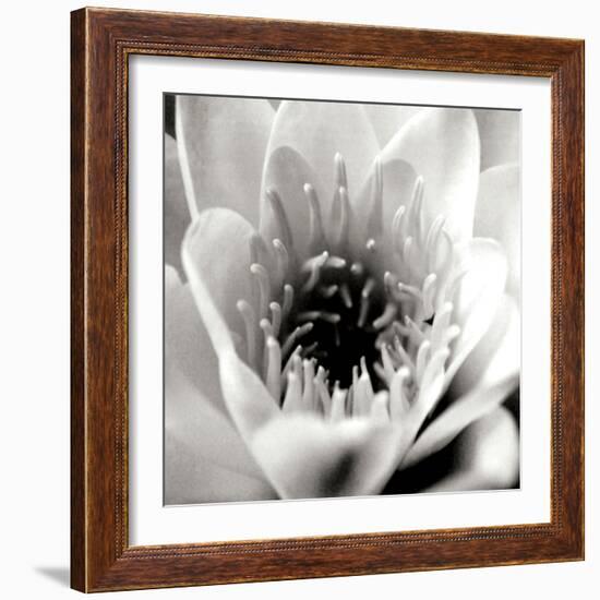 Classic Lotus Square-Erin Berzel-Framed Photographic Print