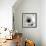 Classic Lotus Square-Erin Berzel-Framed Photographic Print displayed on a wall