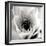 Classic Lotus Square-Erin Berzel-Framed Photographic Print