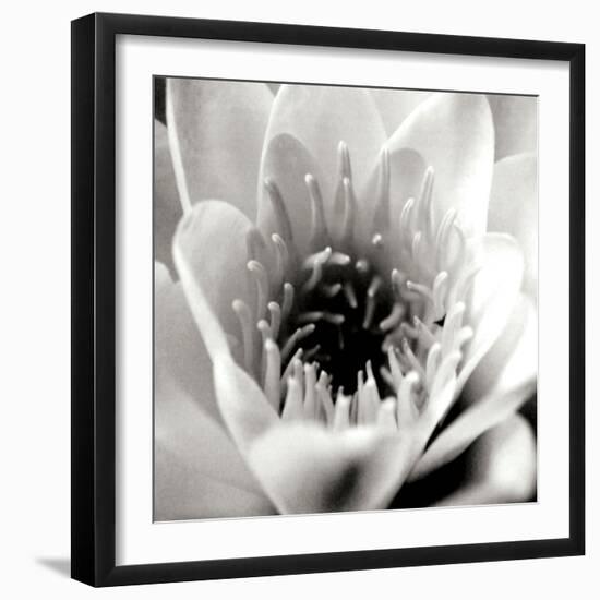 Classic Lotus Square-Erin Berzel-Framed Photographic Print