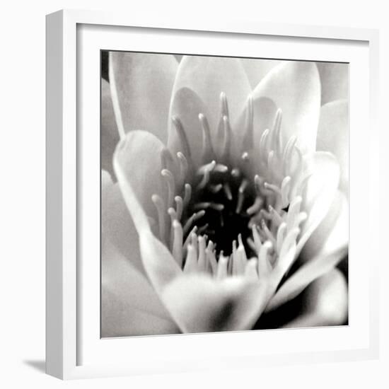 Classic Lotus Square-Erin Berzel-Framed Photographic Print