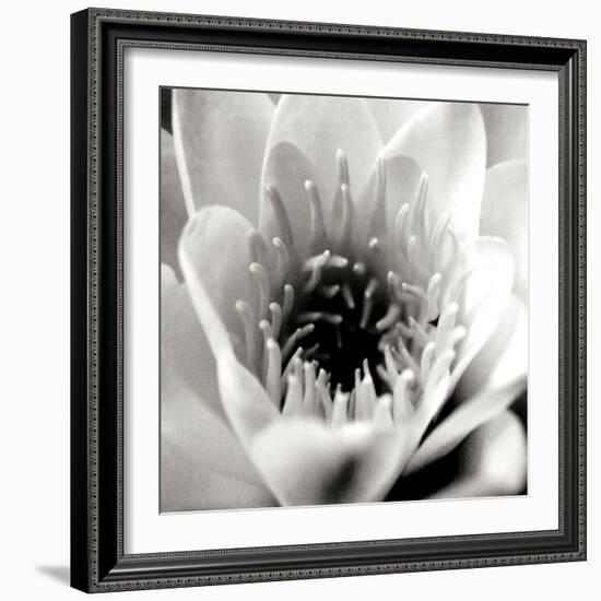 Classic Lotus Square-Erin Berzel-Framed Photographic Print
