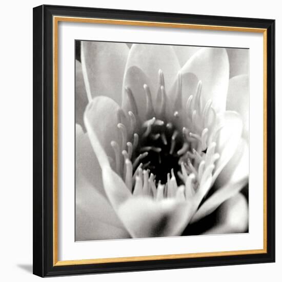 Classic Lotus Square-Erin Berzel-Framed Photographic Print