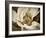 Classic Magnolia II-Rachel Perry-Framed Art Print