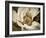 Classic Magnolia II-Rachel Perry-Framed Art Print