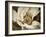 Classic Magnolia II-Rachel Perry-Framed Art Print