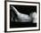 Classic Nude, 1979-Brett Weston-Framed Photographic Print