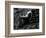 Classic Nude and Lava, Hawaii, c. 1980-Brett Weston-Framed Photographic Print