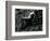 Classic Nude and Lava, Hawaii, c. 1980-Brett Weston-Framed Photographic Print