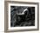 Classic Nude and Lava, Hawaii, c. 1980-Brett Weston-Framed Photographic Print