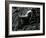 Classic Nude and Lava, Hawaii, c. 1980-Brett Weston-Framed Photographic Print