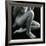 Classic Nude, c. 1970-Brett Weston-Framed Photographic Print