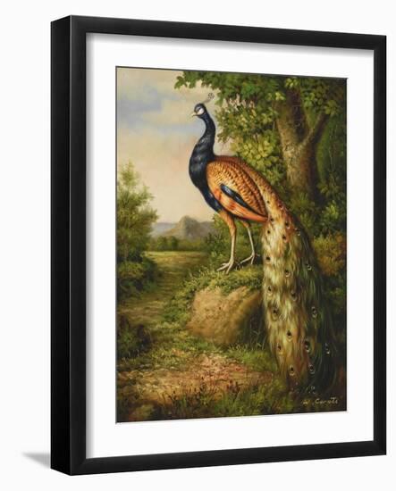 Classic Peacock-null-Framed Art Print
