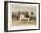 Classic Pointer Standing in the Field-null-Framed Art Print