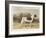 Classic Pointer Standing in the Field-null-Framed Art Print