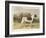 Classic Pointer Standing in the Field-null-Framed Art Print