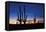 Classic Saguaro Sunset II-Larry Malvin-Framed Premier Image Canvas