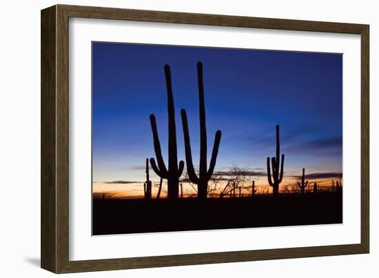 Classic Saguaro Sunset II-Larry Malvin-Framed Photographic Print