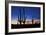 Classic Saguaro Sunset II-Larry Malvin-Framed Photographic Print