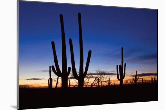 Classic Saguaro Sunset II-Larry Malvin-Mounted Photographic Print