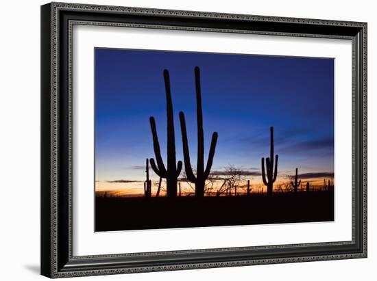 Classic Saguaro Sunset II-Larry Malvin-Framed Photographic Print