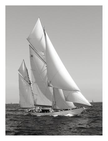 Trial Race For the America's Cup' Photographic Print - George Silk