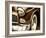 Classic Sepia II-Ryan Hartson-Weddle-Framed Art Print