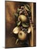 Classic Still Life II-Ethan Harper-Mounted Art Print