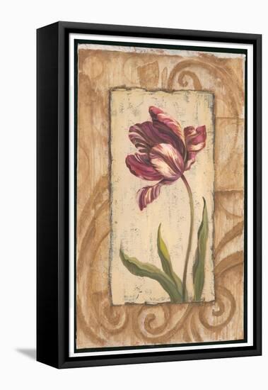 Classic Tulip II-Jillian Jeffrey-Framed Stretched Canvas