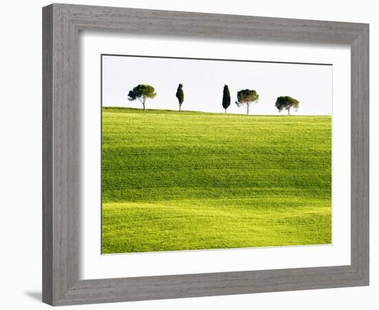 Classic Tuscan Landscape, Near San Quirico, Valle De Orcia, Tuscany, Italy-Nadia Isakova-Framed Photographic Print