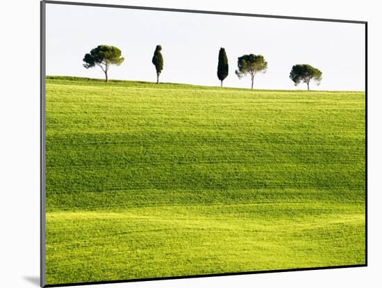 Classic Tuscan Landscape, Near San Quirico, Valle De Orcia, Tuscany, Italy-Nadia Isakova-Mounted Photographic Print