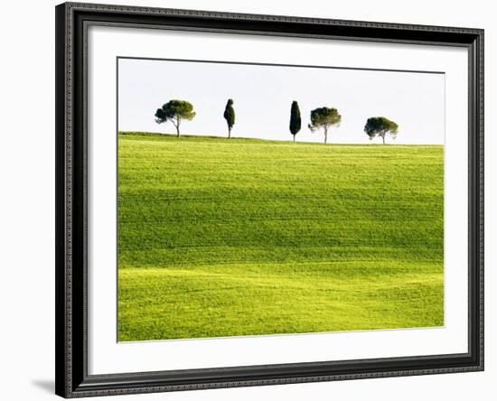 Classic Tuscan Landscape, Near San Quirico, Valle De Orcia, Tuscany, Italy-Nadia Isakova-Framed Photographic Print