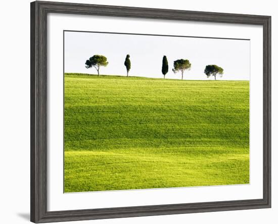 Classic Tuscan Landscape, Near San Quirico, Valle De Orcia, Tuscany, Italy-Nadia Isakova-Framed Photographic Print