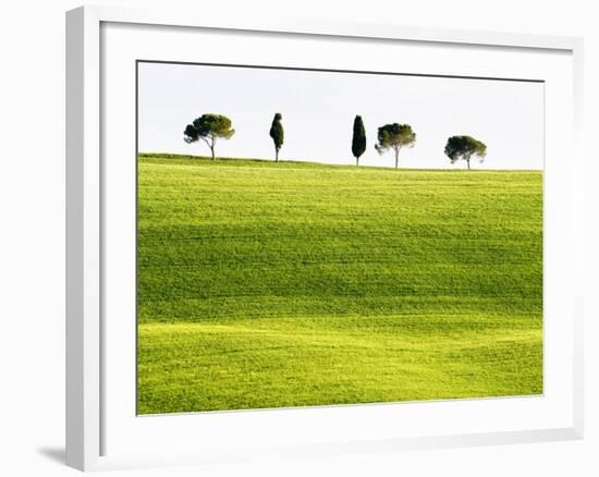 Classic Tuscan Landscape, Near San Quirico, Valle De Orcia, Tuscany, Italy-Nadia Isakova-Framed Photographic Print