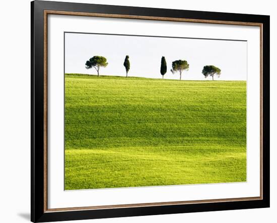 Classic Tuscan Landscape, Near San Quirico, Valle De Orcia, Tuscany, Italy-Nadia Isakova-Framed Photographic Print