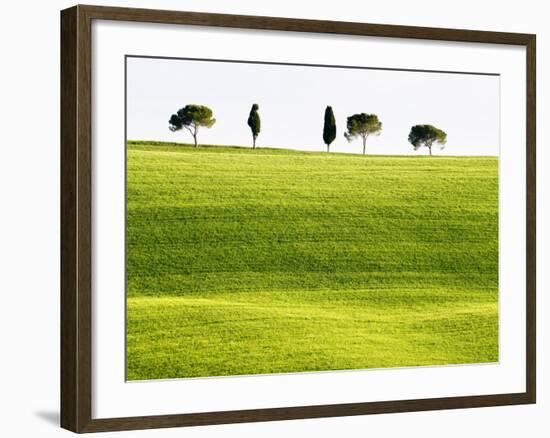 Classic Tuscan Landscape, Near San Quirico, Valle De Orcia, Tuscany, Italy-Nadia Isakova-Framed Photographic Print