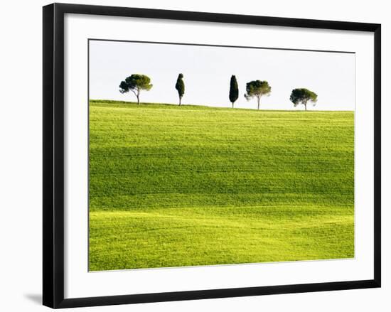 Classic Tuscan Landscape, Near San Quirico, Valle De Orcia, Tuscany, Italy-Nadia Isakova-Framed Photographic Print