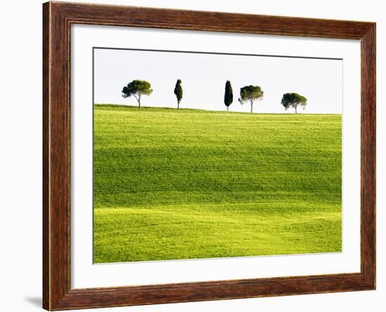 Classic Tuscan Landscape, Near San Quirico, Valle De Orcia, Tuscany, Italy-Nadia Isakova-Framed Photographic Print