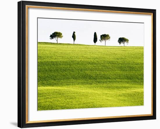 Classic Tuscan Landscape, Near San Quirico, Valle De Orcia, Tuscany, Italy-Nadia Isakova-Framed Photographic Print