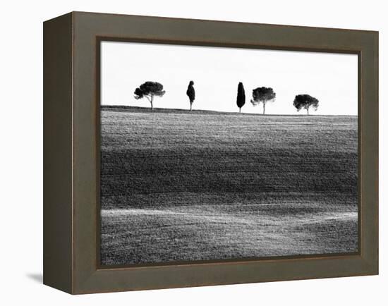 Classic Tuscan Landscape, Near San Quirico, Valle De Orcia, Tuscany, Italy-Nadia Isakova-Framed Premier Image Canvas