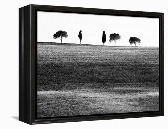Classic Tuscan Landscape, Near San Quirico, Valle De Orcia, Tuscany, Italy-Nadia Isakova-Framed Premier Image Canvas