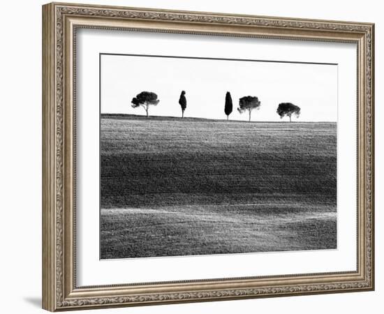 Classic Tuscan Landscape, Near San Quirico, Valle De Orcia, Tuscany, Italy-Nadia Isakova-Framed Photographic Print