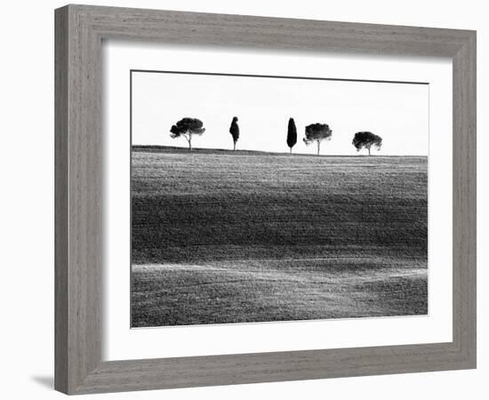 Classic Tuscan Landscape, Near San Quirico, Valle De Orcia, Tuscany, Italy-Nadia Isakova-Framed Photographic Print