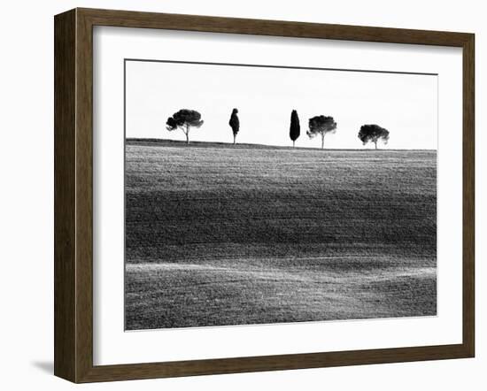 Classic Tuscan Landscape, Near San Quirico, Valle De Orcia, Tuscany, Italy-Nadia Isakova-Framed Photographic Print